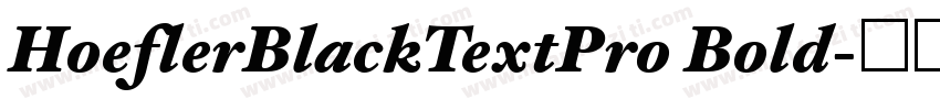 HoeflerBlackTextPro Bold字体转换